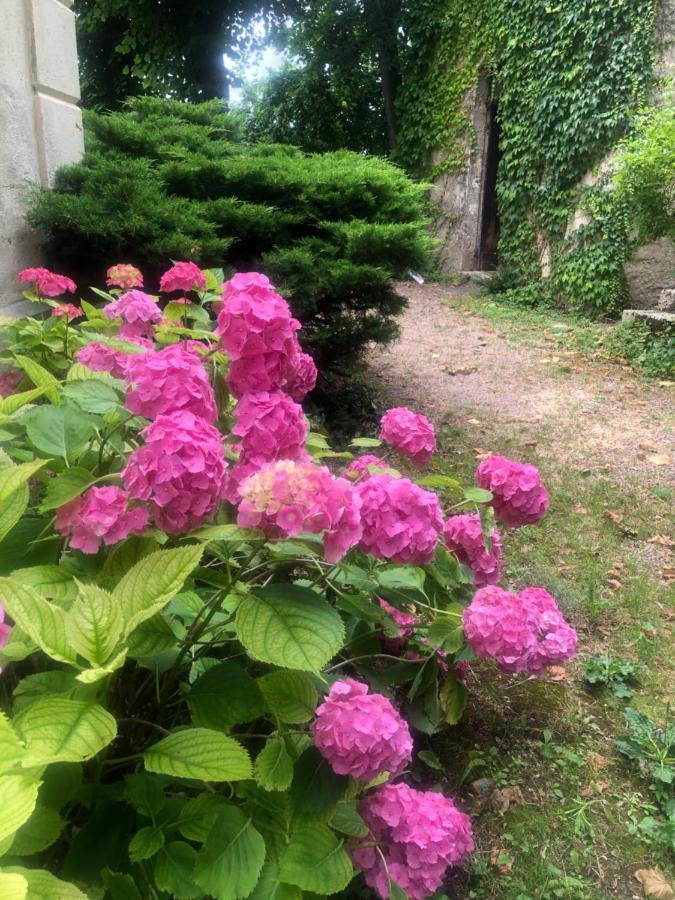 Demeure Des Payratons Bed & Breakfast Saint-Gerand-le-Puy Luaran gambar